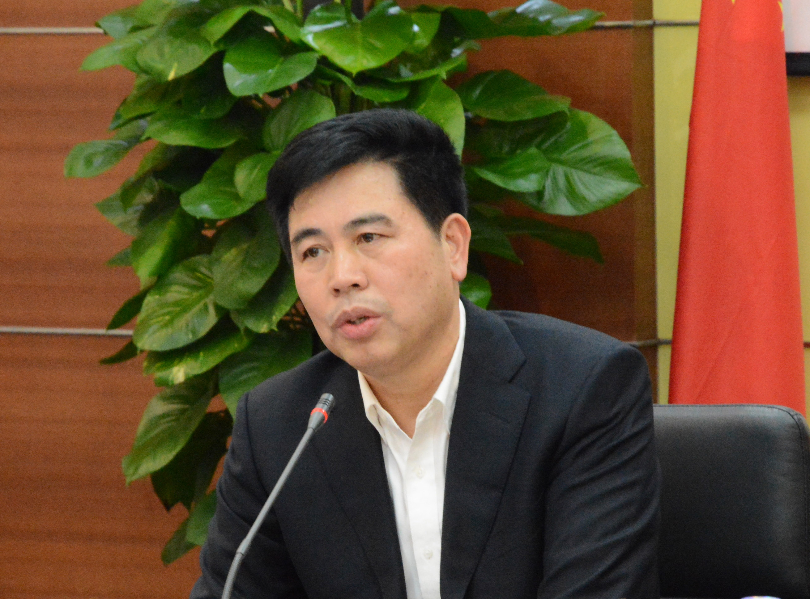 董事长何勇_董事长办公室图片