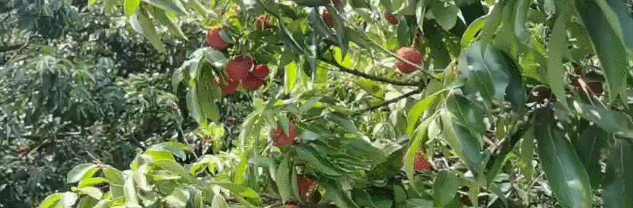 微信图片_2025-07-23_104418_931.jpg