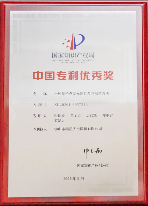 2025中国专利优秀奖