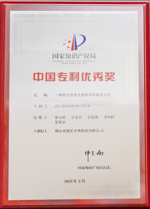 2025中国专利优秀奖