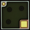 1515