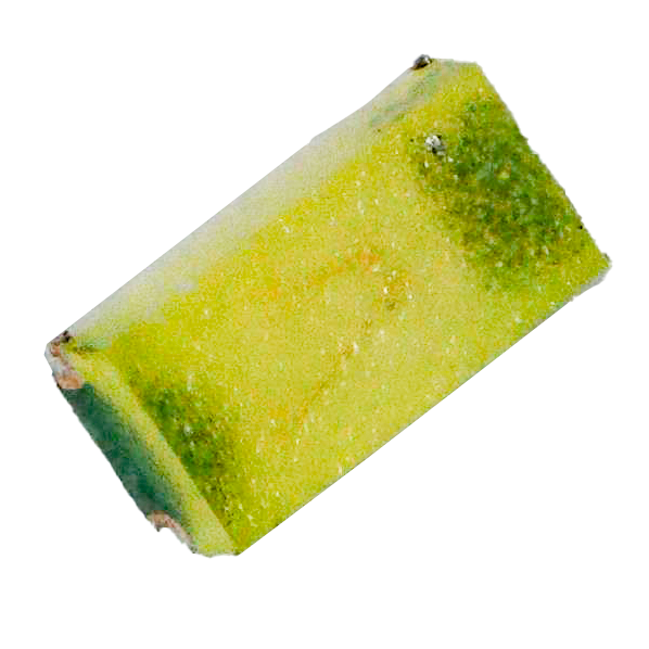 1005 白