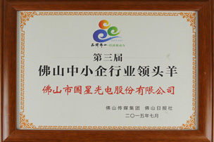 热烈祝贺国星光电荣获“佛山企业领头羊”称号
