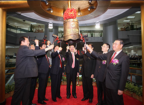 2010年国星光电首次公开发行股票，并在深圳证交所中小企业板挂牌上市
