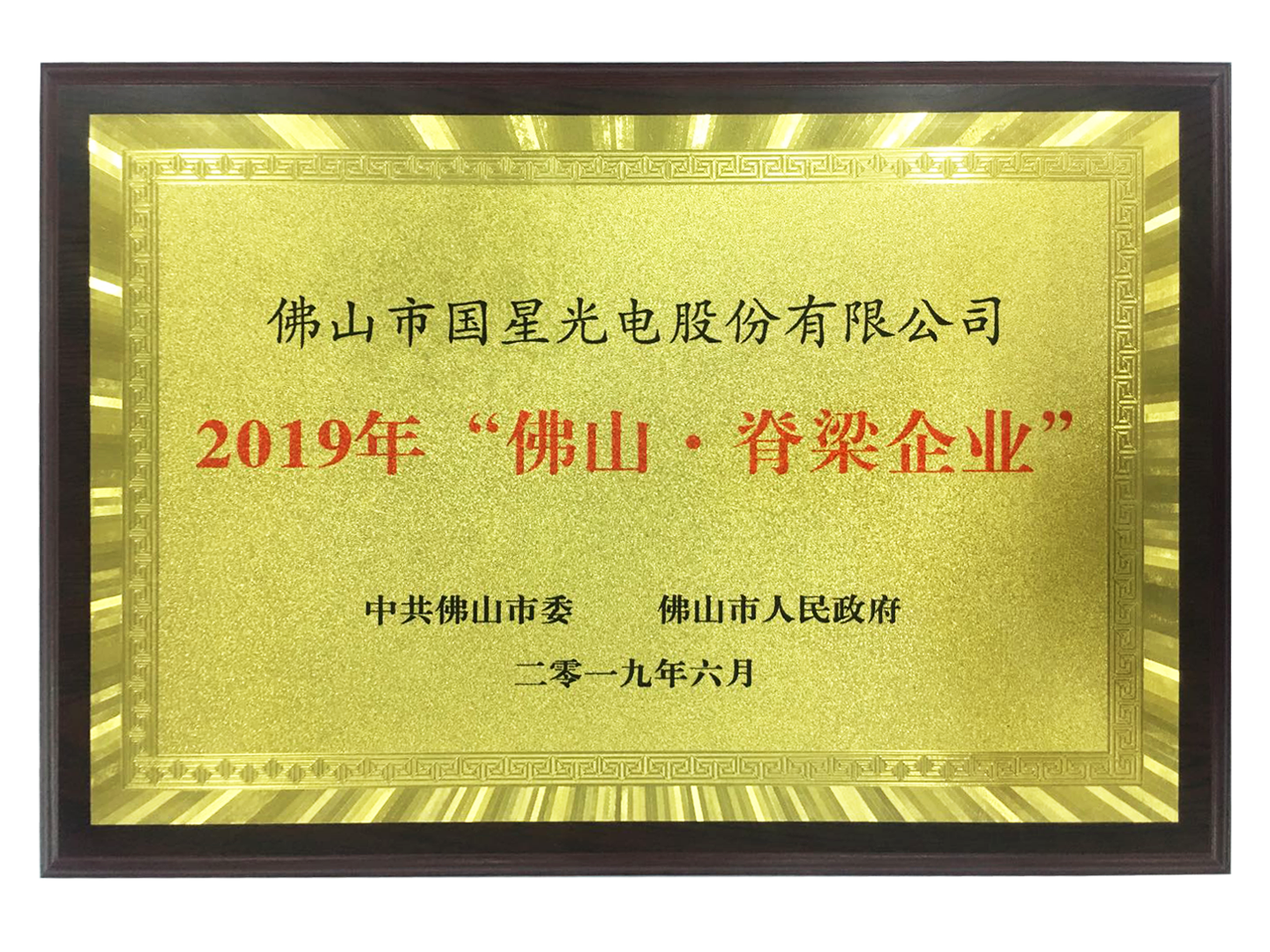 佛山脊梁 创新力量 | 国星光电荣获“佛山脊梁企业”称号