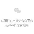 国星光电参加广晟公司2020年第一季度党委 理论学习中心组学习会并组织集体研讨